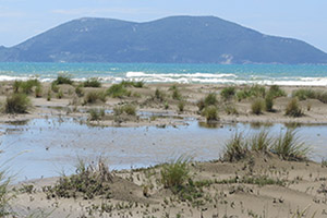 albania